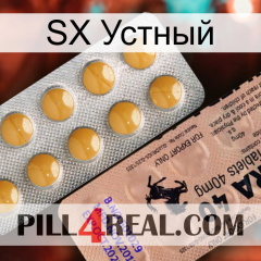 SX Устный 41